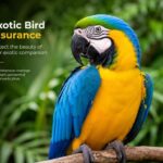 exotic bird insurance