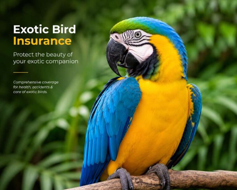 exotic bird insurance