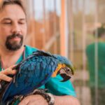 exotic pet insurance